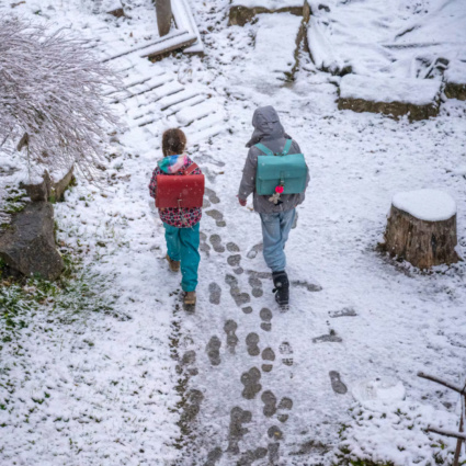 Arriva la neve: sulle Alpi fino a 20 centimetri