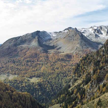 Il Ticino visto dalle sue 16 valli: 130 progetti per immaginare il futuro del territorio