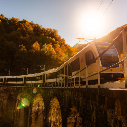 Torna il Treno del Foliage