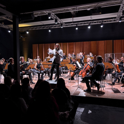 «Un'orchestra non può suonare se il soffitto non è alto almeno otto metri»