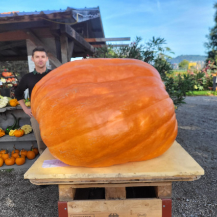 Torna la Sagra della zucca