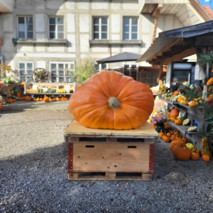 Torna la Sagra della zucca
