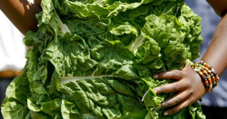 Vegetariani meno in salute, rischiano depressione e tumore