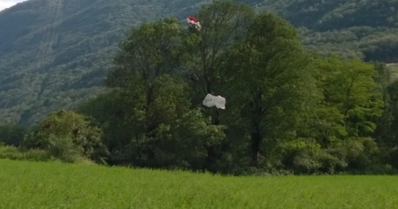 Parapendista termina su una pianta