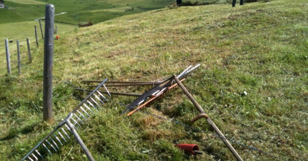 Contadini frontalieri cercansi: "Sommersi dalle telefonate, chiamano anche dottori e avvocati"