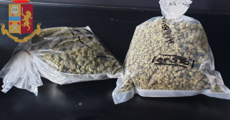 Hemp Fest, ma la cannabis non era “light”: denunciato uno svizzero