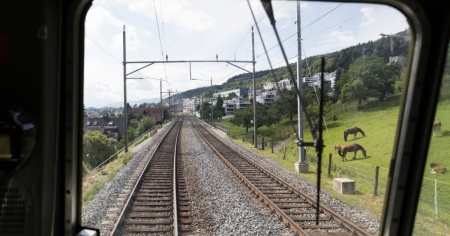 È morta la donna urtata da un treno a Thalwil