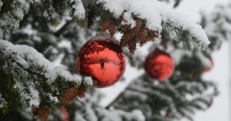 Anche quest'anno niente “Bianco Natal” in Ticino