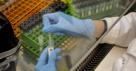Coronavirus, il 4% delle varianti analizzate corrisponde a Omicron
