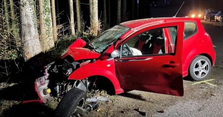 Con l'auto contro un albero: gravi ferite per un 35enne