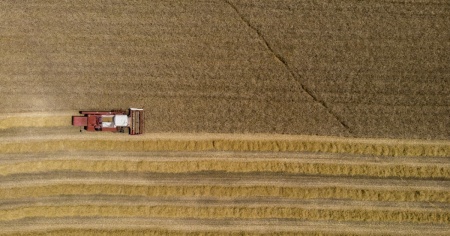 L'UDC vuole un programma di autosufficienza alimentare