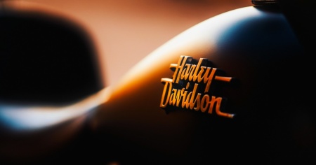 Harley Davidson, la One non è più sola: arriva la Del Mar