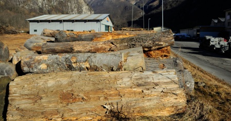 Crisi del legname? Il Ticino risponde: «La legna non ci manca»
