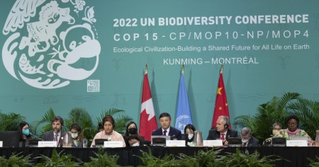 Raggiunto uno «storico» accordo sulla biodiversità