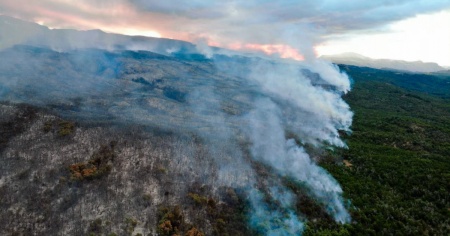 Le fiamme divorano 600 ettari di bosco in quattro giorni