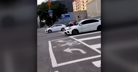 Sul cofano dell'auto in corsa per salvare il cane rapito. Il video