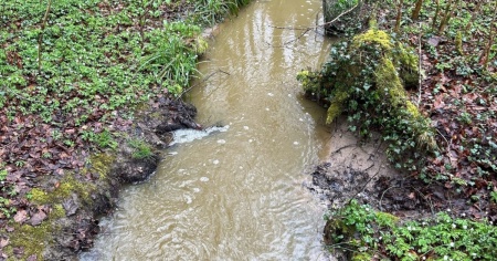 Sversa liquame dentro un ruscello, denunciato agricoltore
