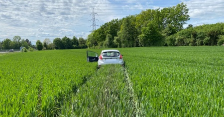 Perde il controllo dell'auto e sfonda un recinto di cervi