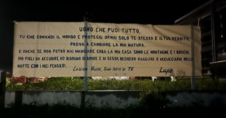 Questa volta parla il lupo: «Lasciami vivere»