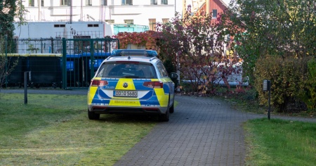 Tredicenne ferisce mortalmente la sorella di 7 anni