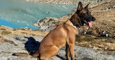 Rocky salva l'automobilista disperso
