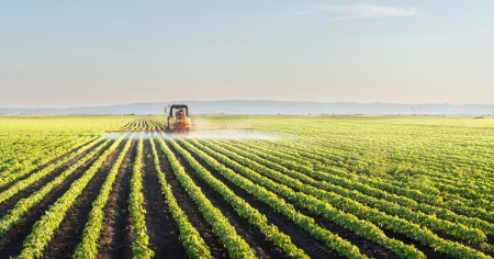 Biodiversità in pericolo: l’impatto nascosto degli oli vegetali secondo ETH Zurigo