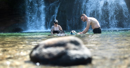 Canicola, i titoli di coda non si vedono