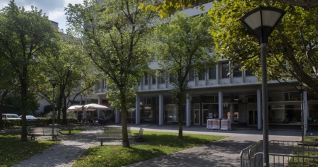 Chiasso più verde: mozione per 100 nuovi alberi e meno asfalto