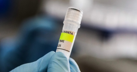 Hantavirus, l’OMS: senza nuovi casi entro il 2 luglio, l'epidemia è conclusa