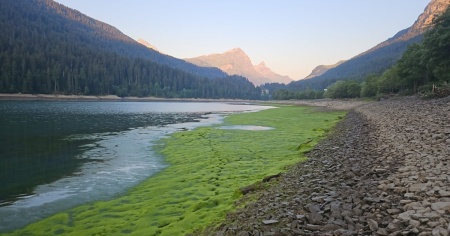 Lago di Sufner: migliaia di pesci morti, scattano le indagini