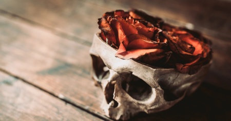 Portava a casa parti di cadaveri da una clinica, caso di cannibalismo sconvolge l'Ungheria