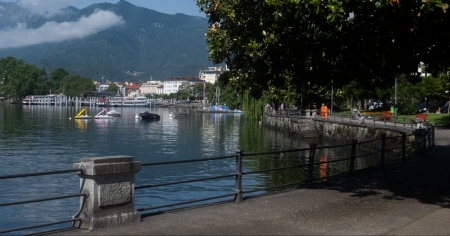 "Alghe azzurre" nel lago Maggiore: invito alla prudenza