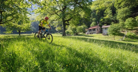 Torna Uber Mountain Bike