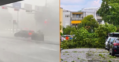 Alberi sulle strade e folate degne di un tifone: il maltempo spazza la Svizzera