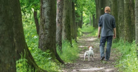Avere animali domestici non rende automaticamente più felici