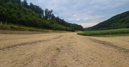 Cadavere trovato in un campo: mancano testa, mani e piedi