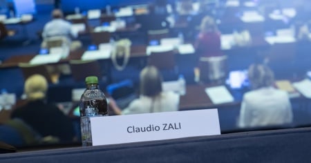 Caso Zali, la politica può destituire un "ministro"?