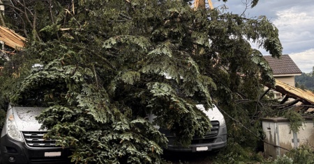 Abete colpito da un fulmine distrugge due auto