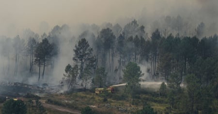 Incendi sotto controllo in Gironda, attesi pioggia e calo delle temperature