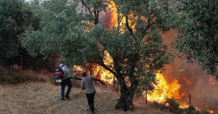 Incendi boschivi, morto un terzo pompiere
