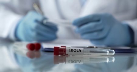 L'ebola continua a diffondersi in Congo, oltre 400 morti