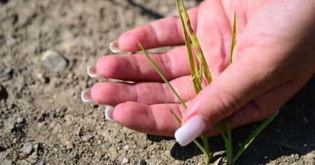 Emergenza idrica: il Piemonte chiede acqua al Canton Ticino