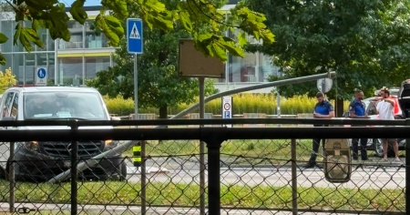 Esce di strada e stende il palo