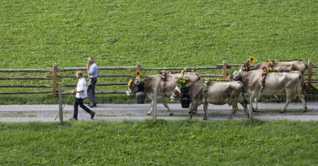 Centinaia di agricoltori contro l’Unione contadini: «Non ci rappresenta più»