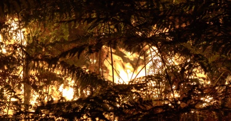 Fontainebleau in fiamme: bruciano 800 ettari