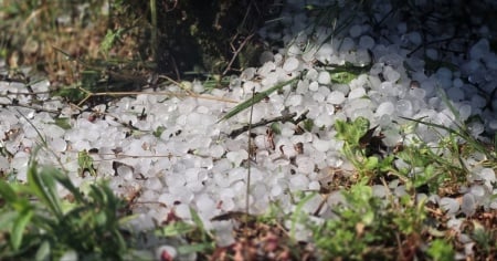 Lampi, tuoni e pure la grandine: in Ticino una mattinata temporalesca
