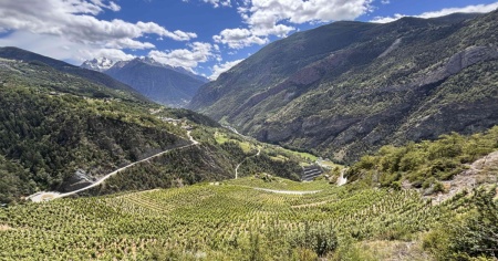 Heida, il vino più alto d’Europa