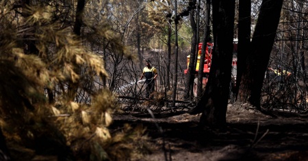 Quasi 20mila persone evacuate dopo un incendio sulla costa atlantica