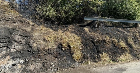 Un fuoco acceso illegalmente dà vita a un incendio: denuncia in vista