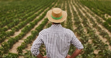 Dieci incidenti mortali nell'agricoltura da gennaio a giugno